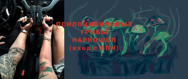 метадон Ельня