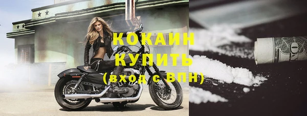кокс Арсеньев