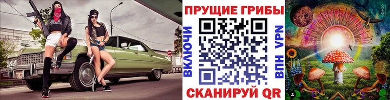 купить наркотик  Минусинск  Галлюциногенные грибы Magic Shrooms 